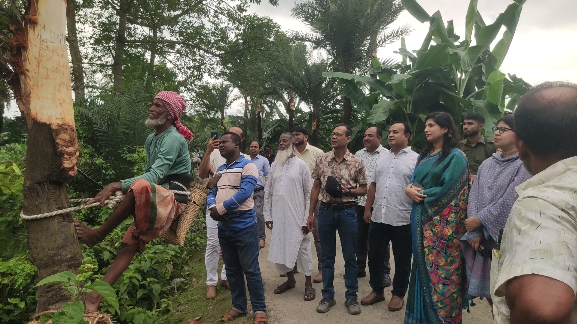 Date palm tapping season opens in Jashore's Chaugachha