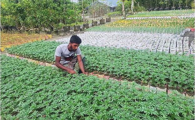 Flower nursery boom reshapes economy of riverside villages in southern Bangladesh