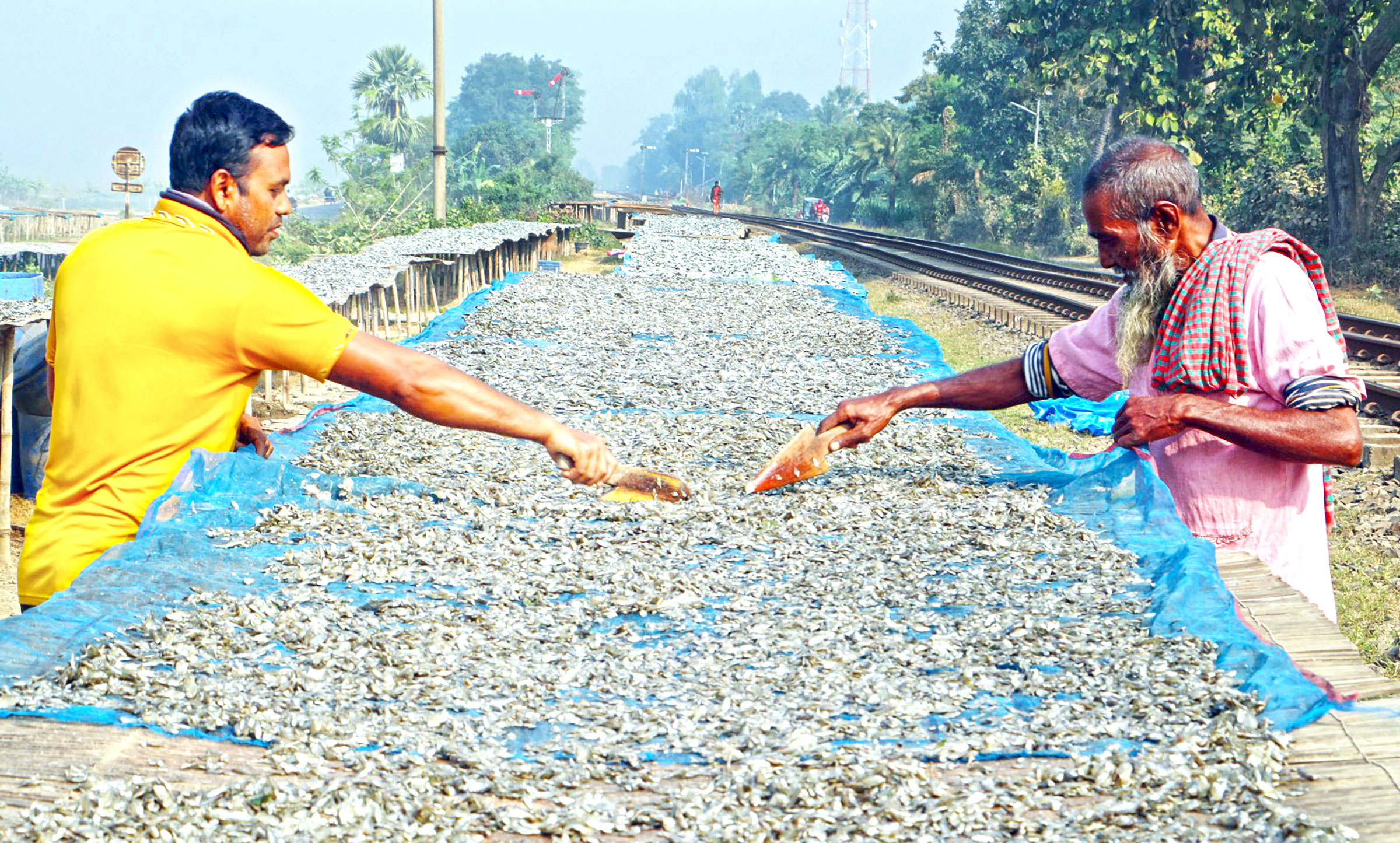 Fish shortage cuts dried-fish output in Naogaon's Atrai village
