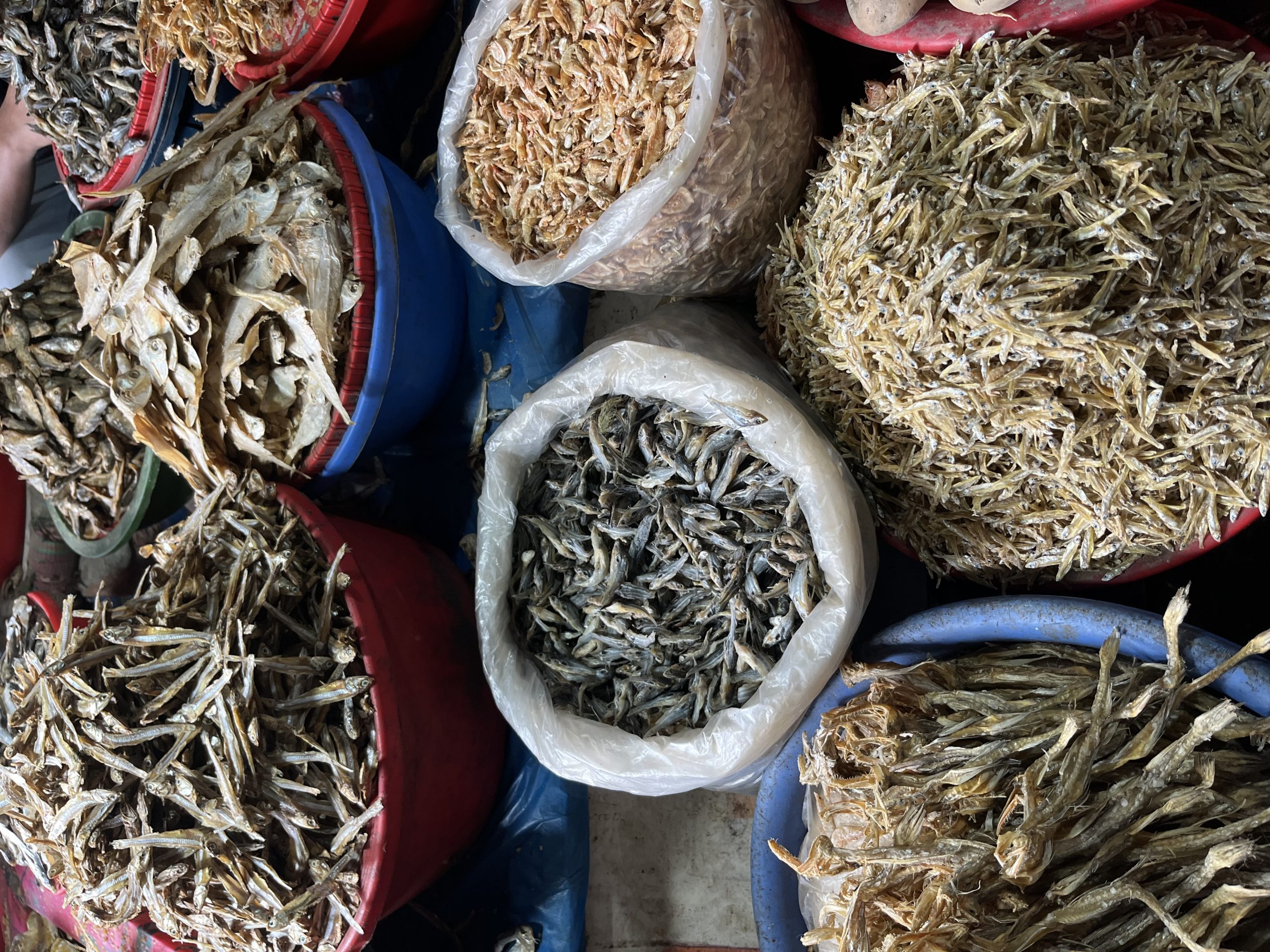 ক্ষেতলালে শীতের সবজি মিলছে বাড়তি দামে