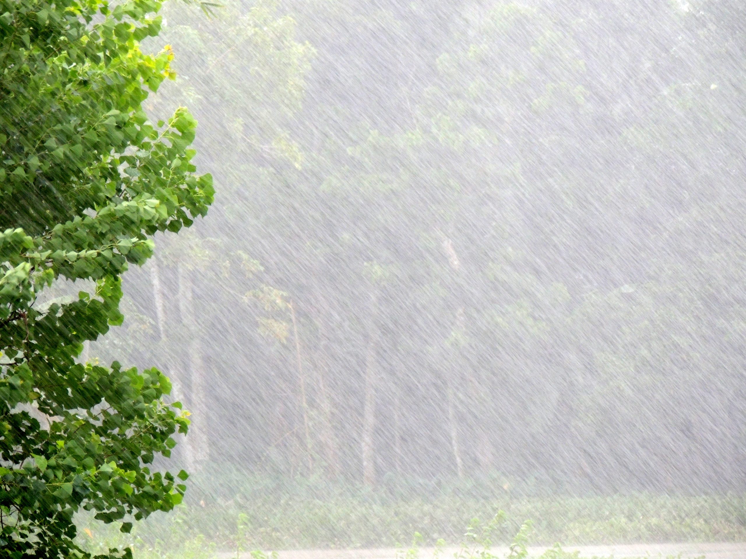 টানা ৯ দিন বৃষ্টির আভাস