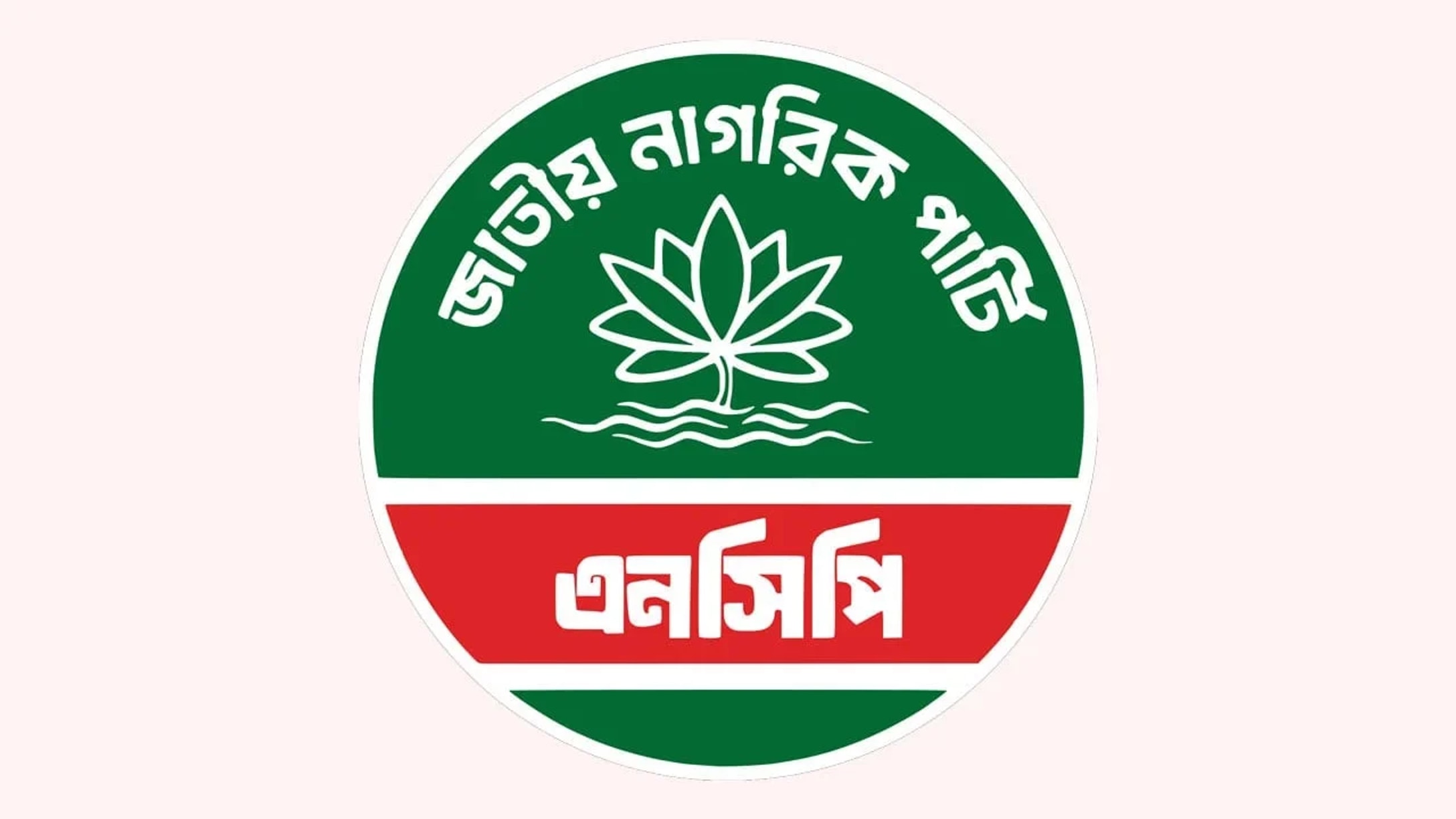 এনসিপি ২০৩৬ সালের মধ্যে সরকারি দল হওয়ার স্বপ্ন দেখে: সারজিস