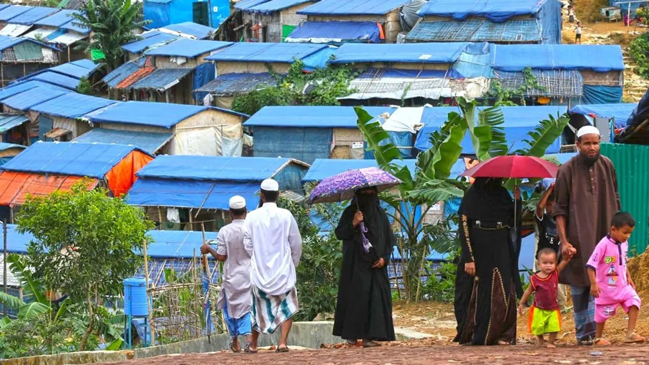 Rohingya account for 74% of dengue cases in Cox's Bazar, health office says
