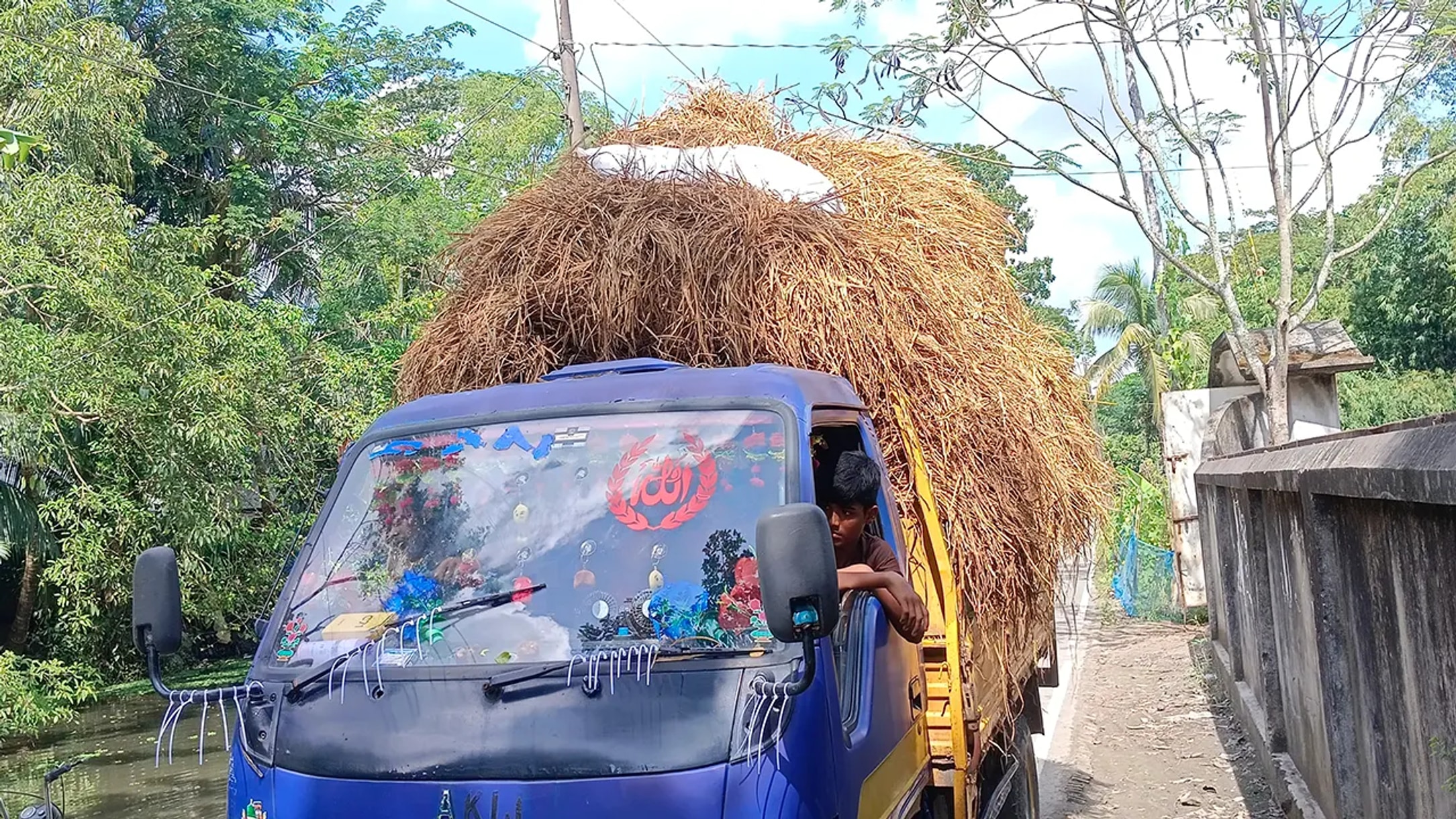 Cattle feed shortage hits farmers in Cumilla's Monohorganj