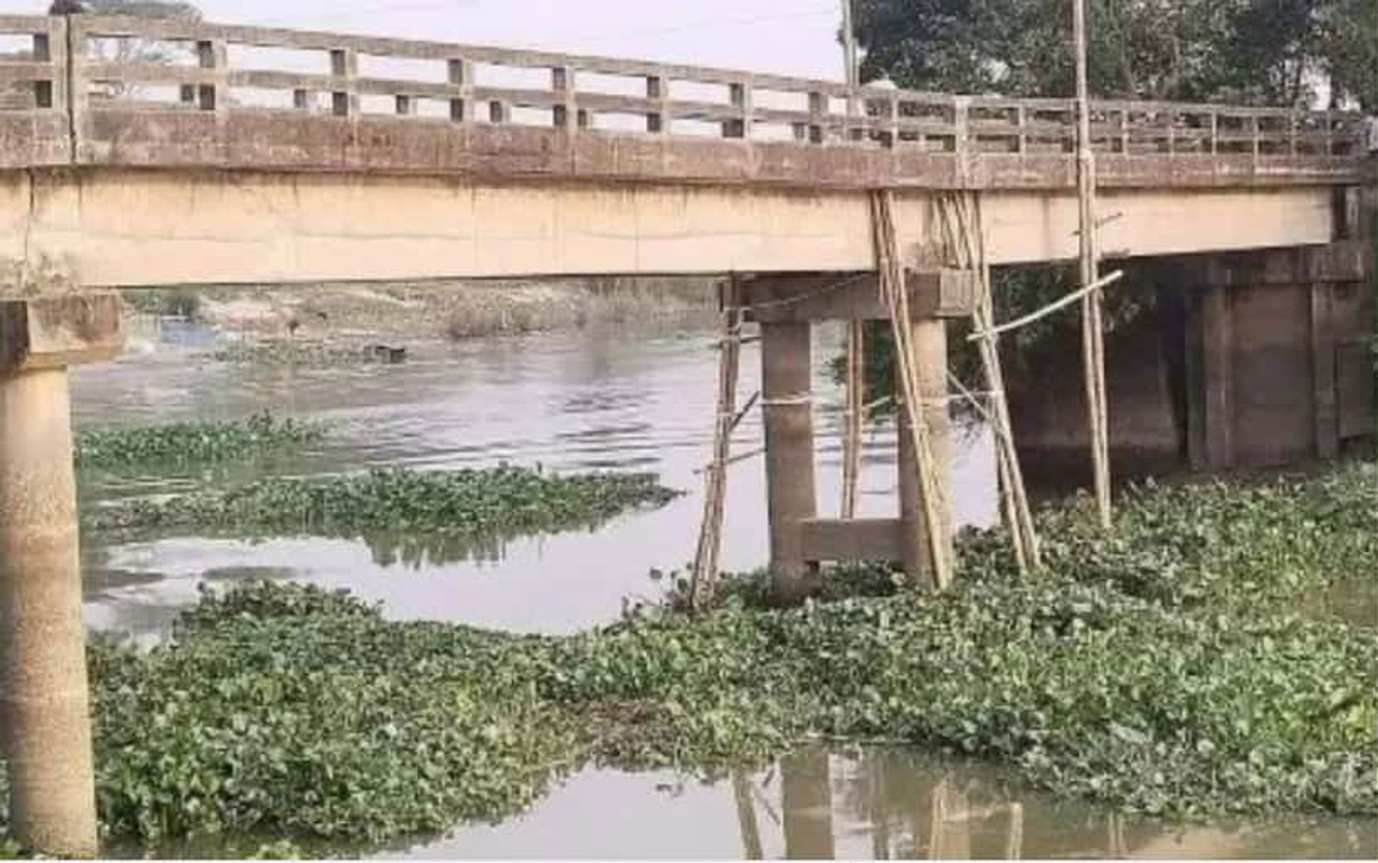 Daudkandi villagers prop up failing bridge with bamboo poles