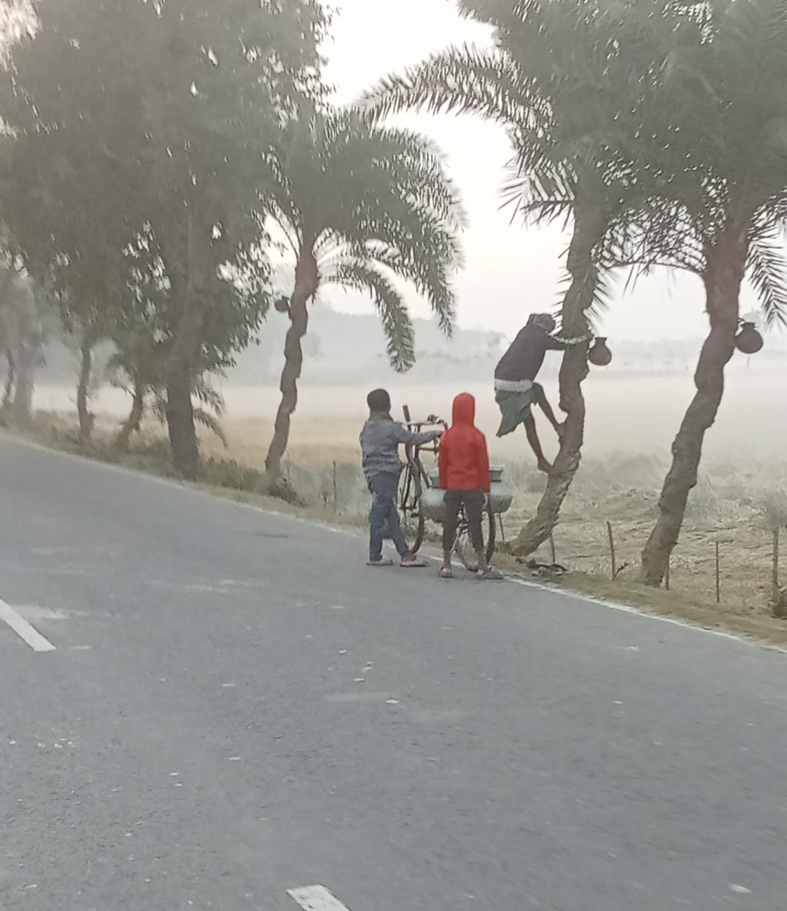 Chuadanga records season's lowest temperature at 12.2 degrees Celsius