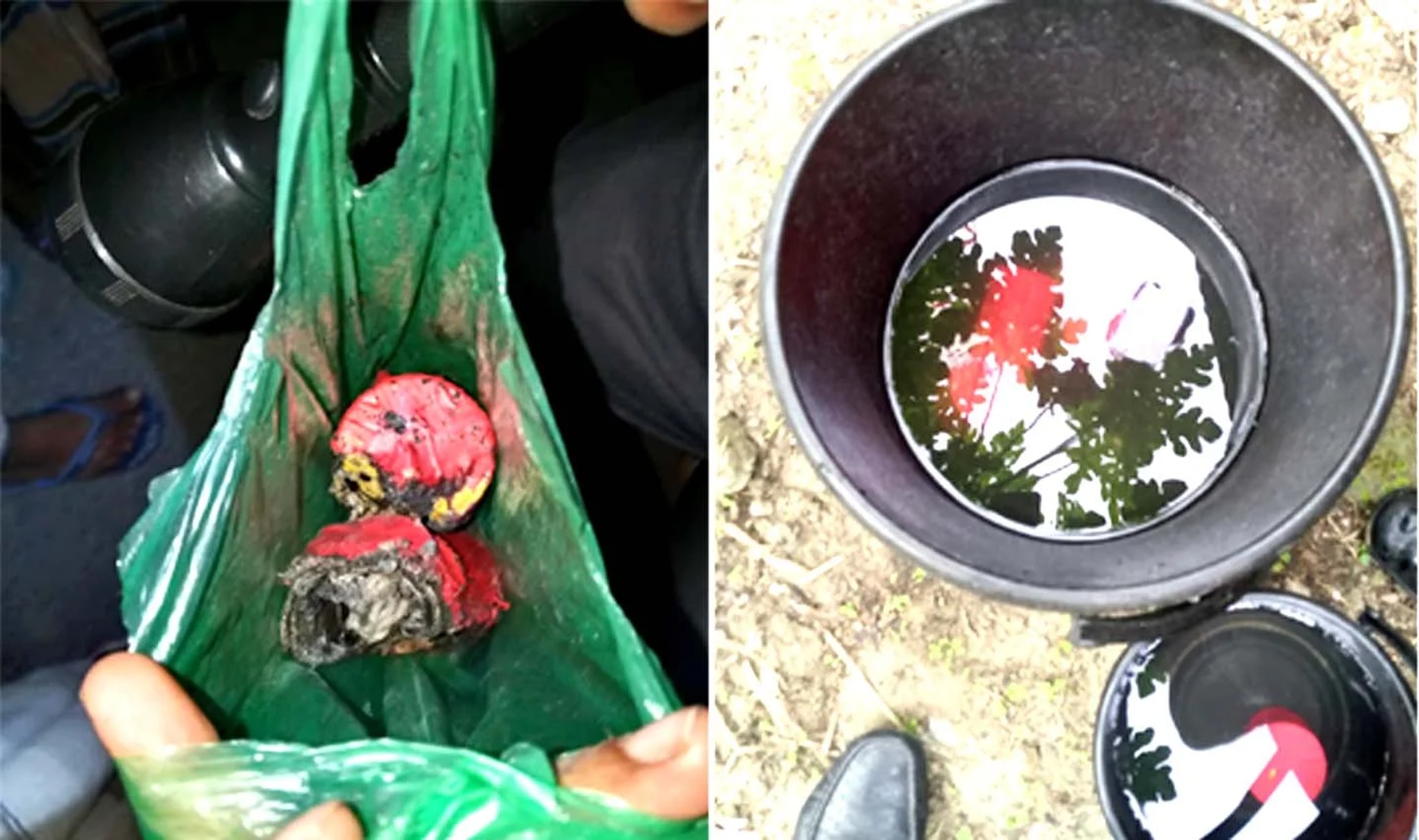 তেরখাদায় ককটেল বিস্ফোরণ