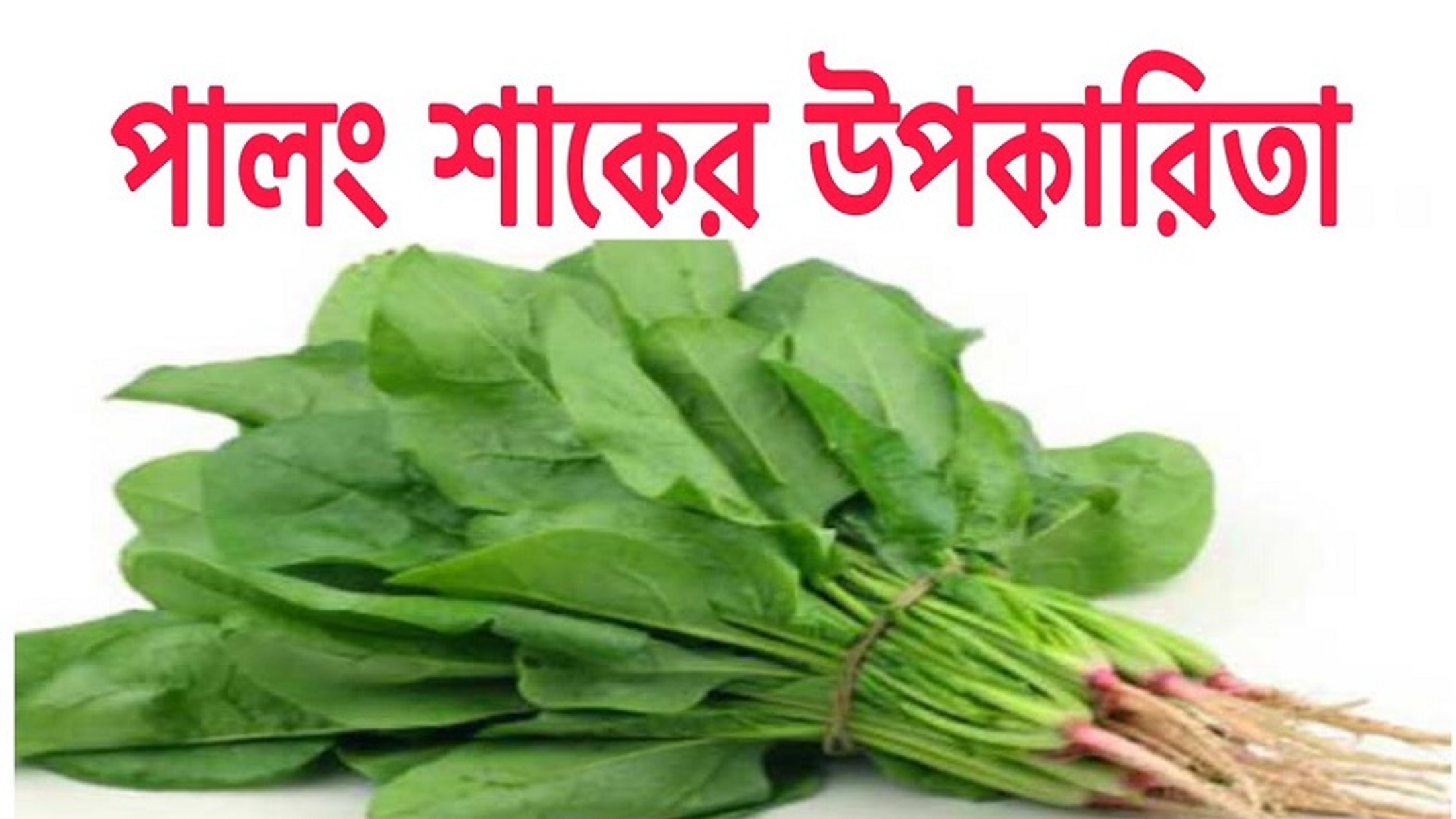Spinach can help fight common winter illnesses, experts say