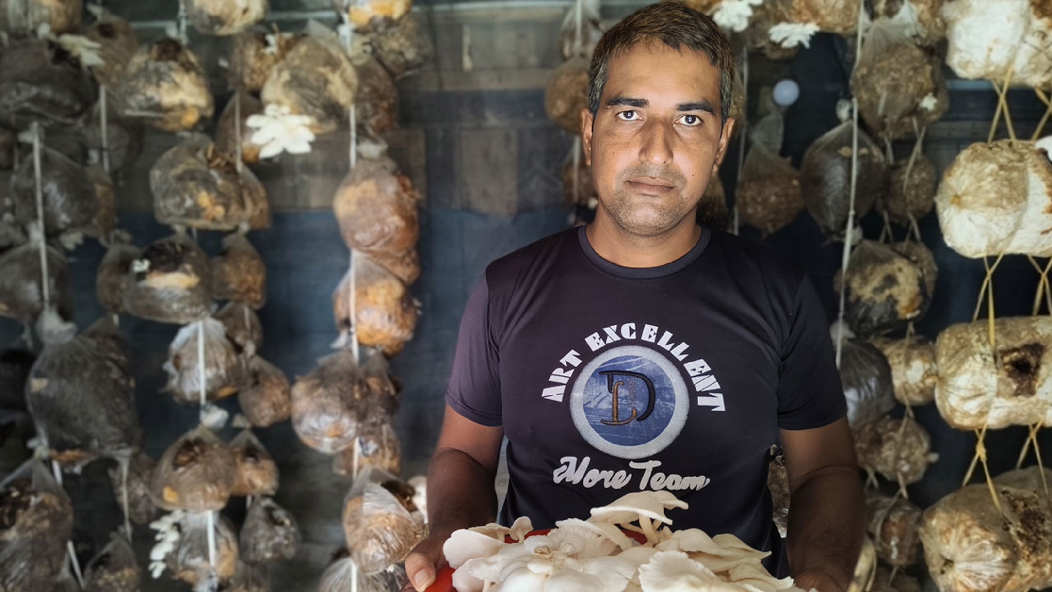 বারান্দায় মাশরুম চাষে স্বাবলম্বী সবুজ