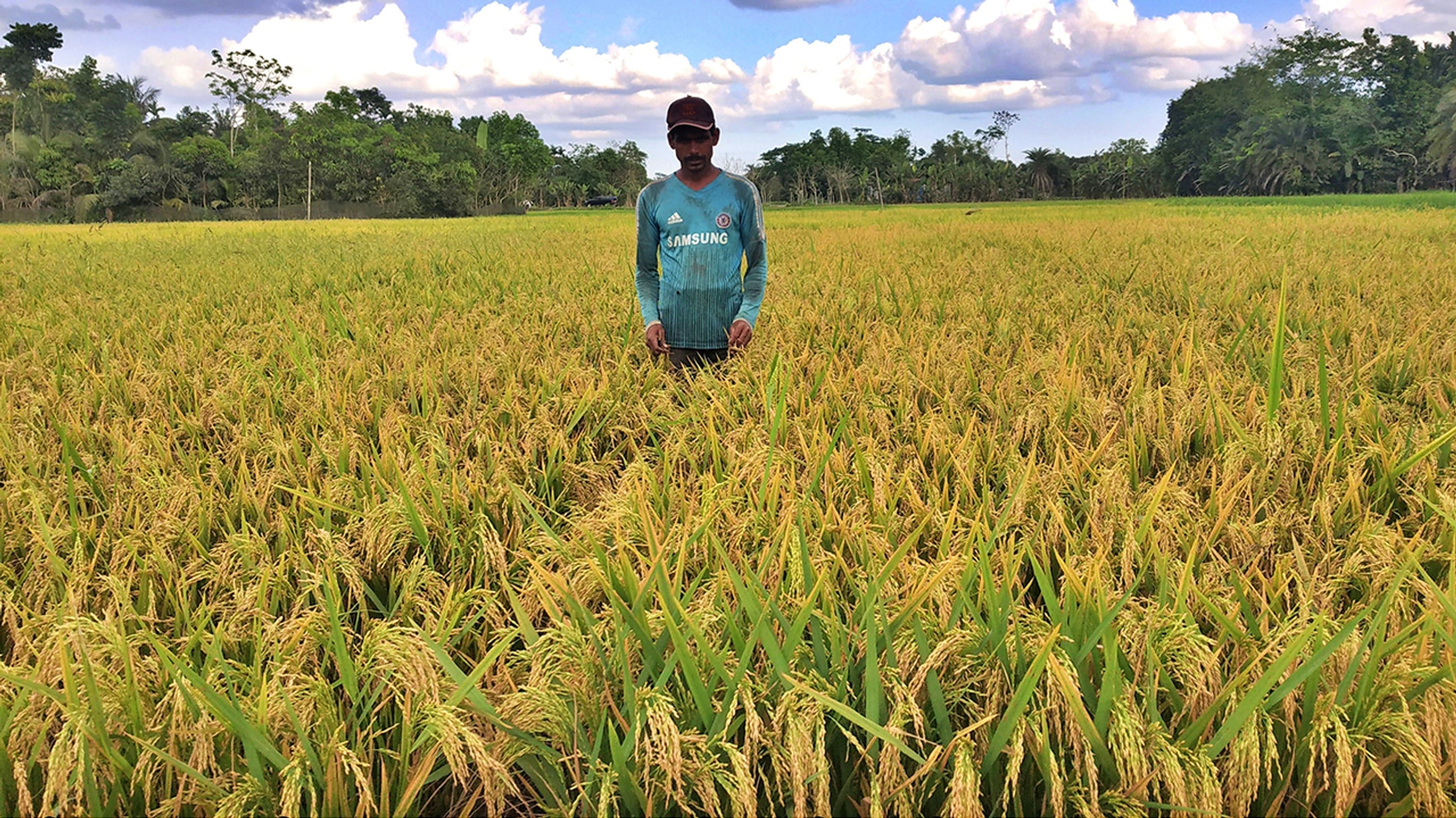 Bagerhat farmer hits jackpot with new BRRI-108 rice variety