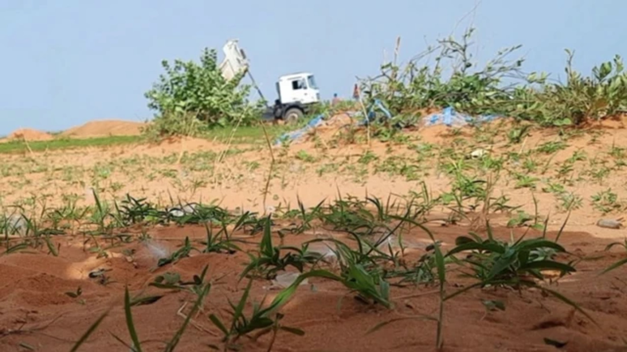 Hundreds of bodies lie in Sudan streets with no one to bury them