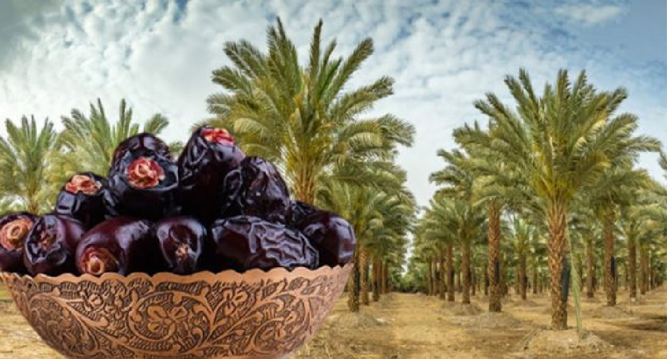 What hadith says about eating dates
