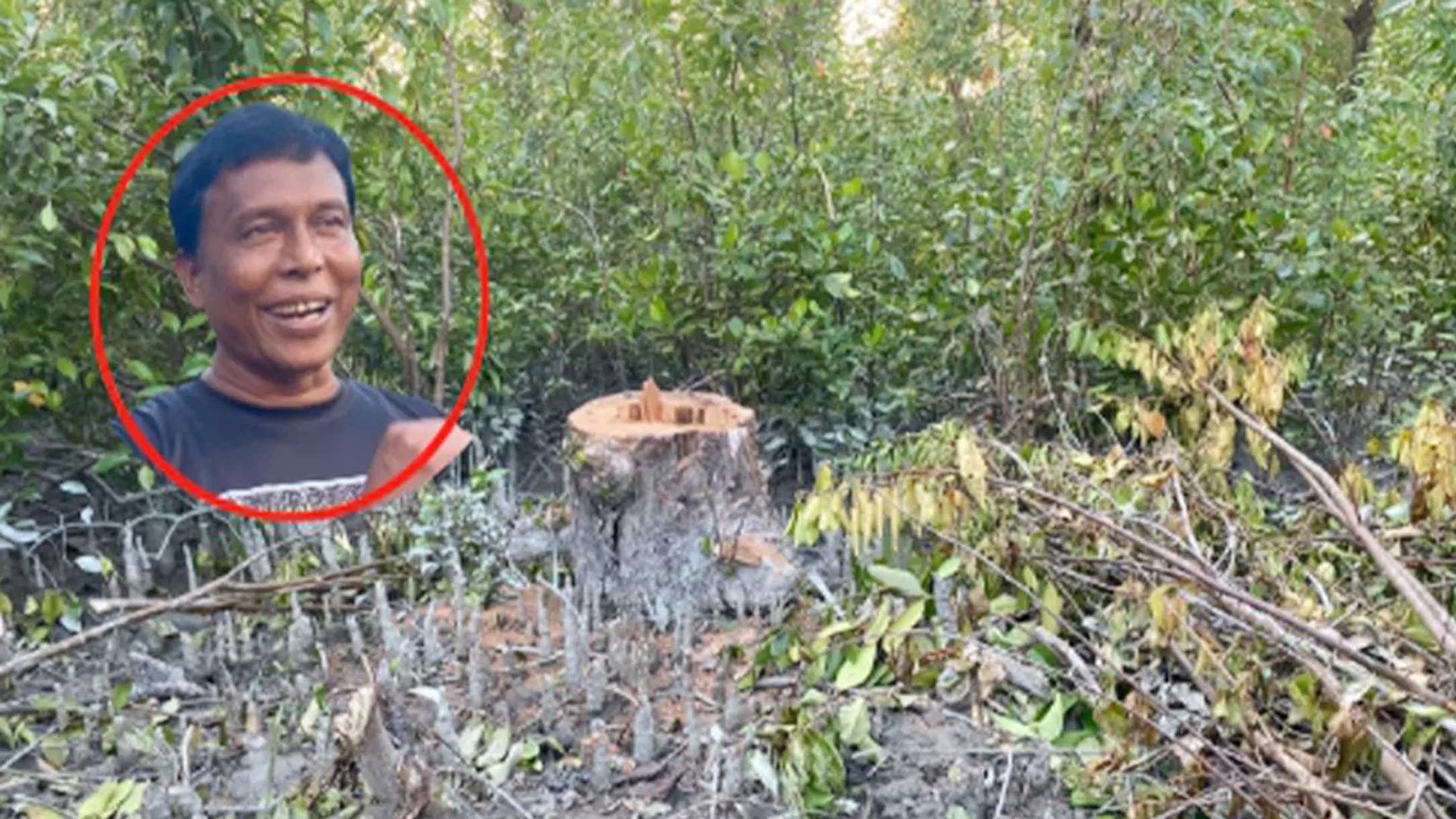 বনের গাছ বিক্রির অভিযোগ