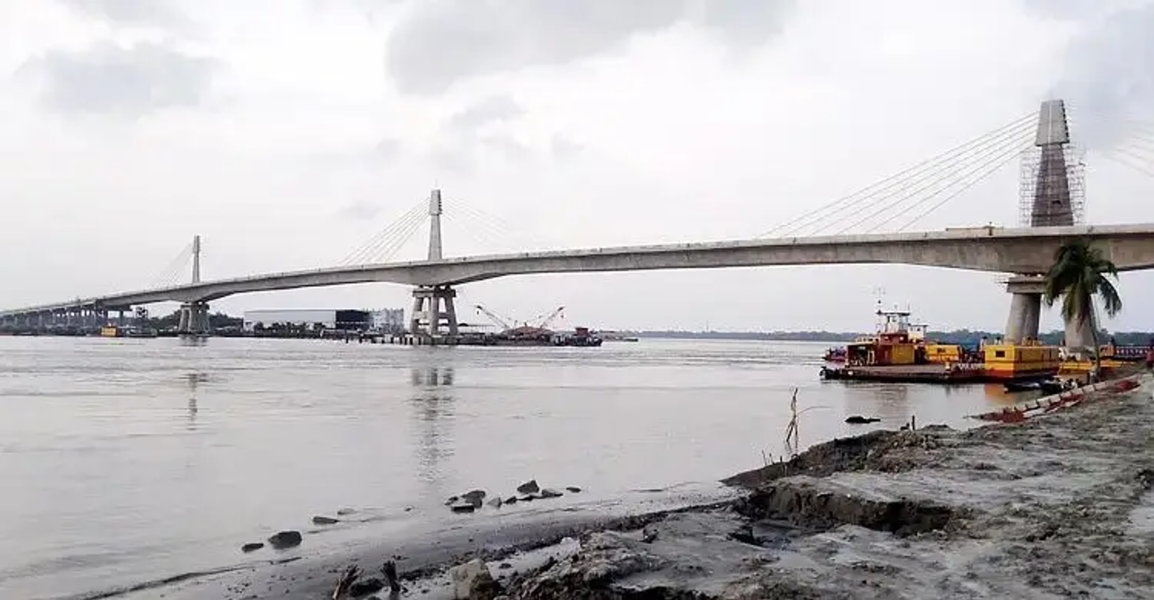 College student jumps from Payra Bridge after quarrel, rescued alive