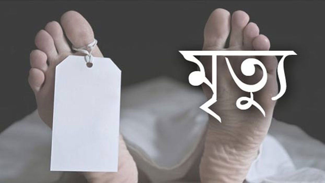 আশুগঞ্জে সাপের দংশনে গৃহবধূর মৃত্যু