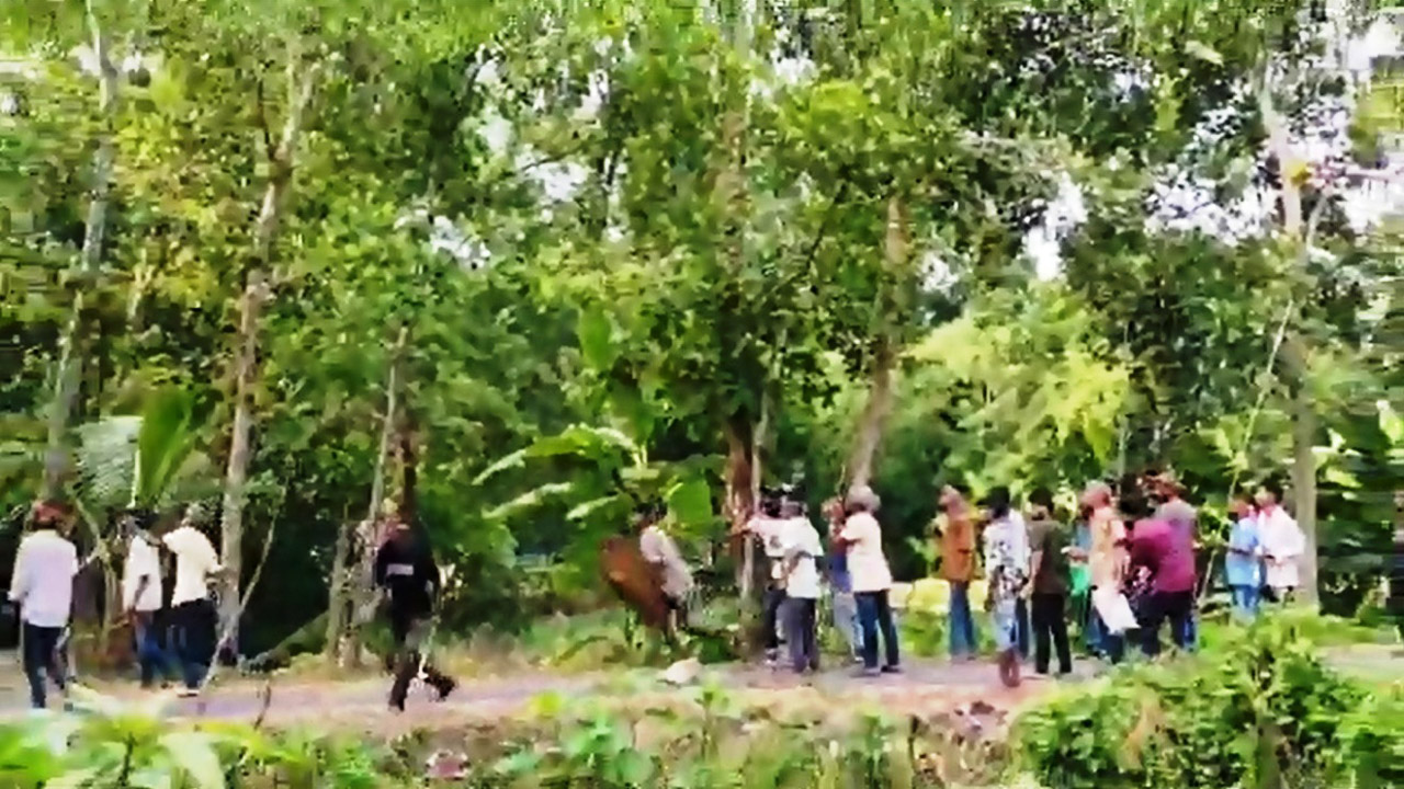 মাদারীপুরে দু’পক্ষে ব্যাপক সংঘর্ষ : শতাধিক ককটেল বিস্ফোরণ
