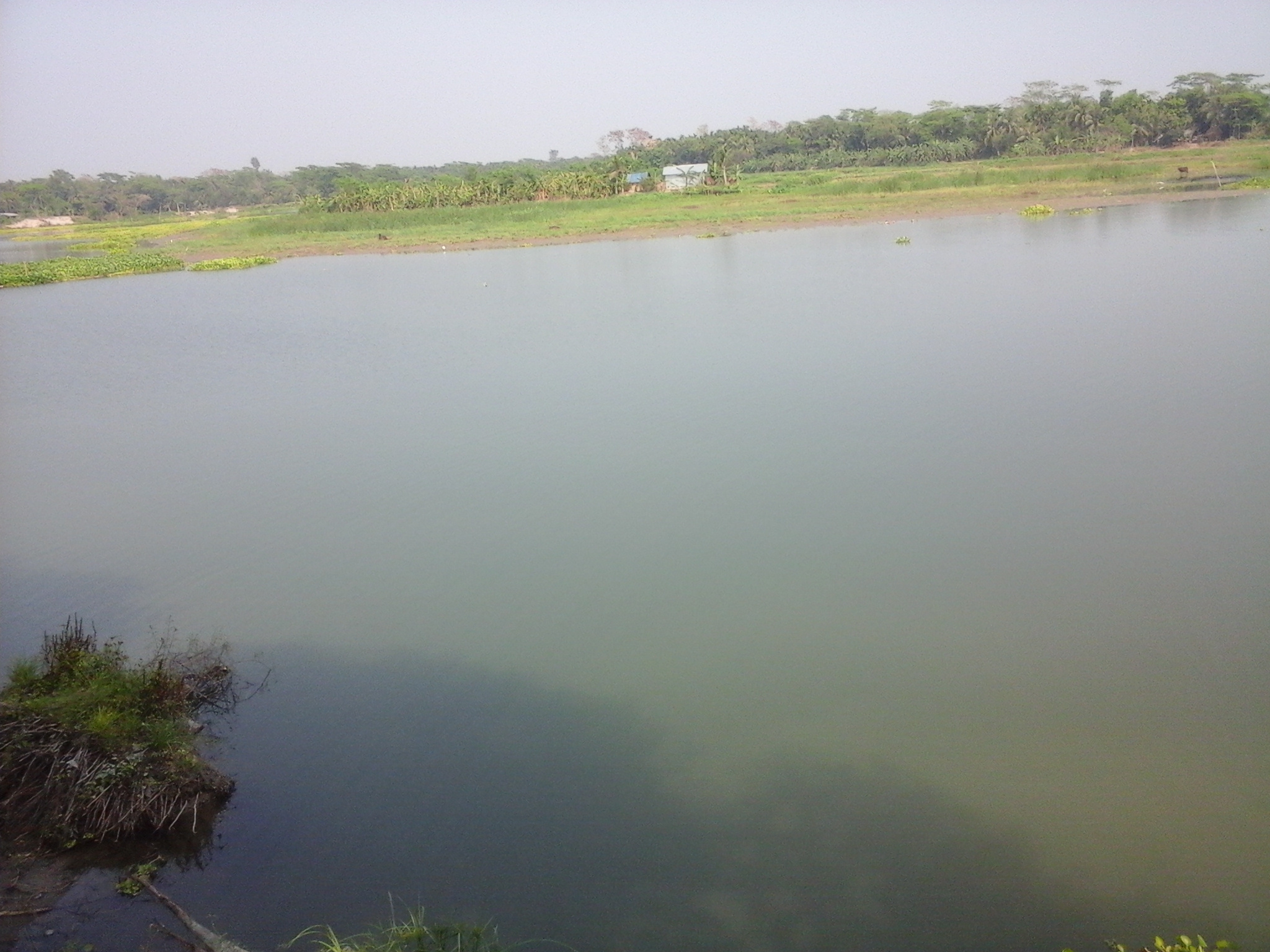 নোয়াখালী অঞ্চলের একটি খাল — প্রতীকী ছবি