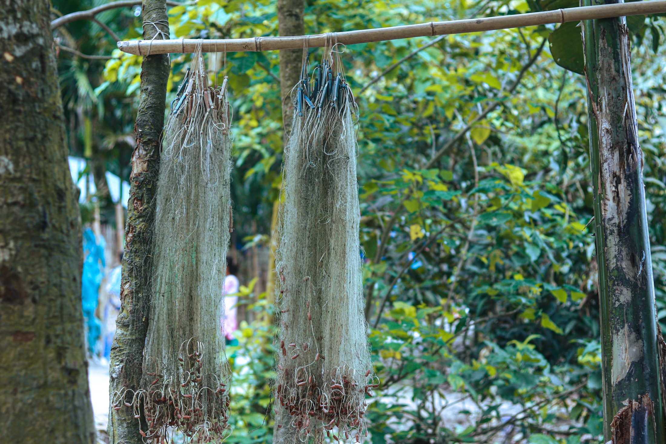 একটি গ্রামীণ জনপদের দৃশ্য — প্রতীকী ছবি