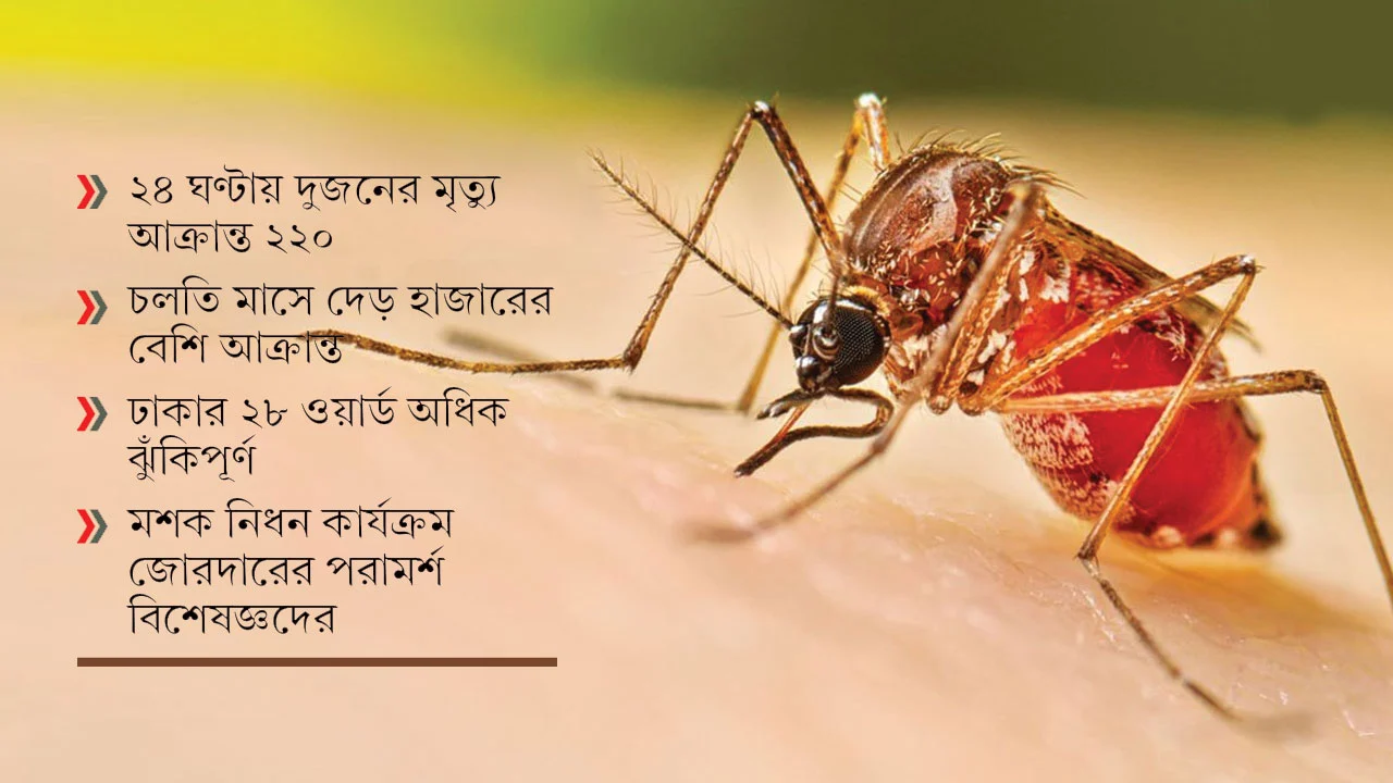 হামের প্রাদুর্ভাবের মাঝেই ডেঙ্গুর থাবা; ছড়িয়েছে ৫৮ জেলায়