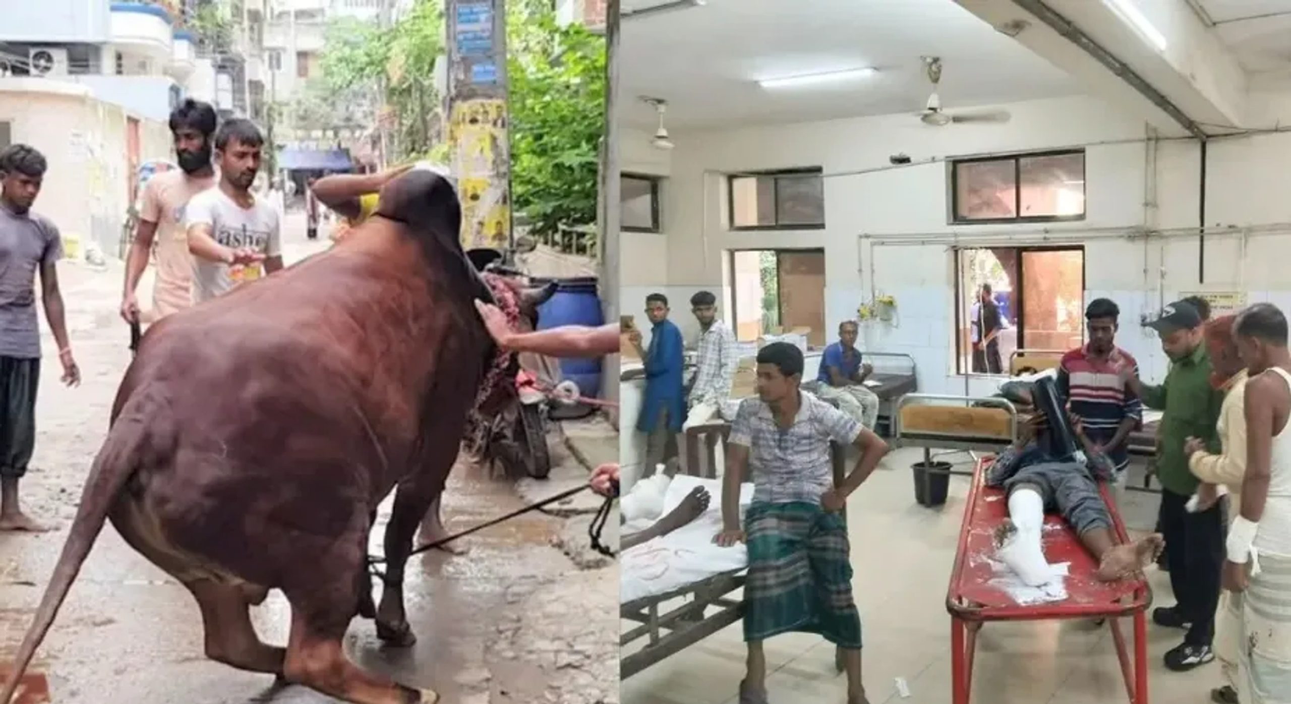 Some 200 hurt in Dhaka during Eid animal slaughter