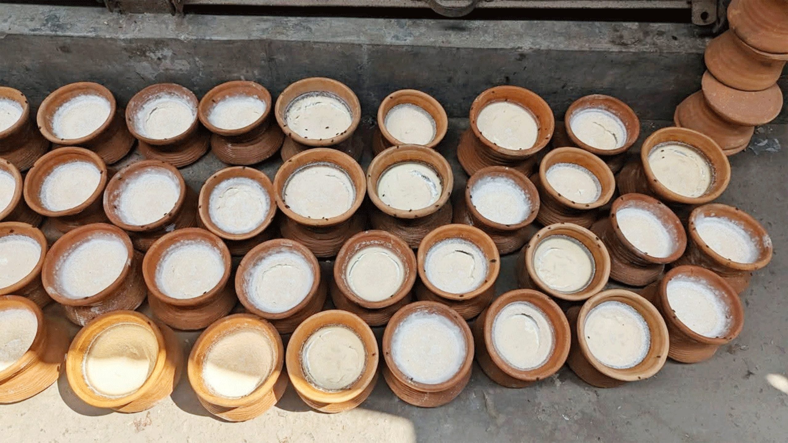 কমলনগরে মেয়াদোত্তীর্ণ দই বিক্রির দায়ে ২ ব্যবসায়ীকে জরিমানা