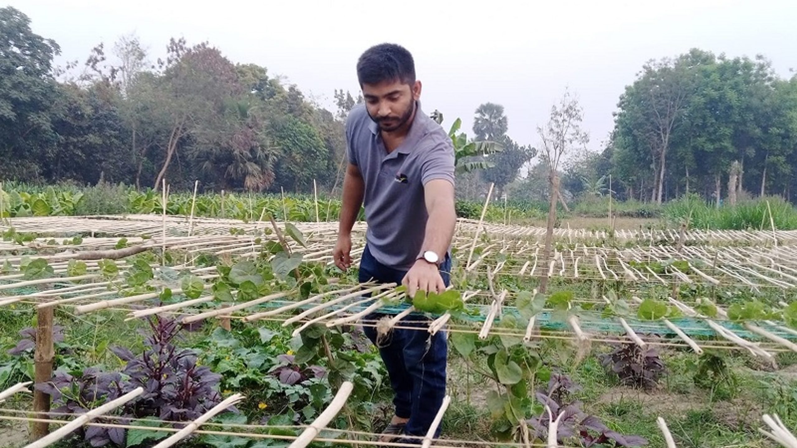 Kushtia farmers' library spreads climate-smart agriculture
