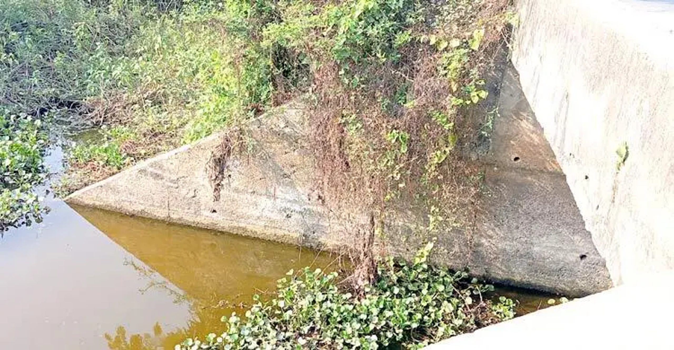 Terokhada farmers fear ruined crops as sluice gates fall into disrepair
