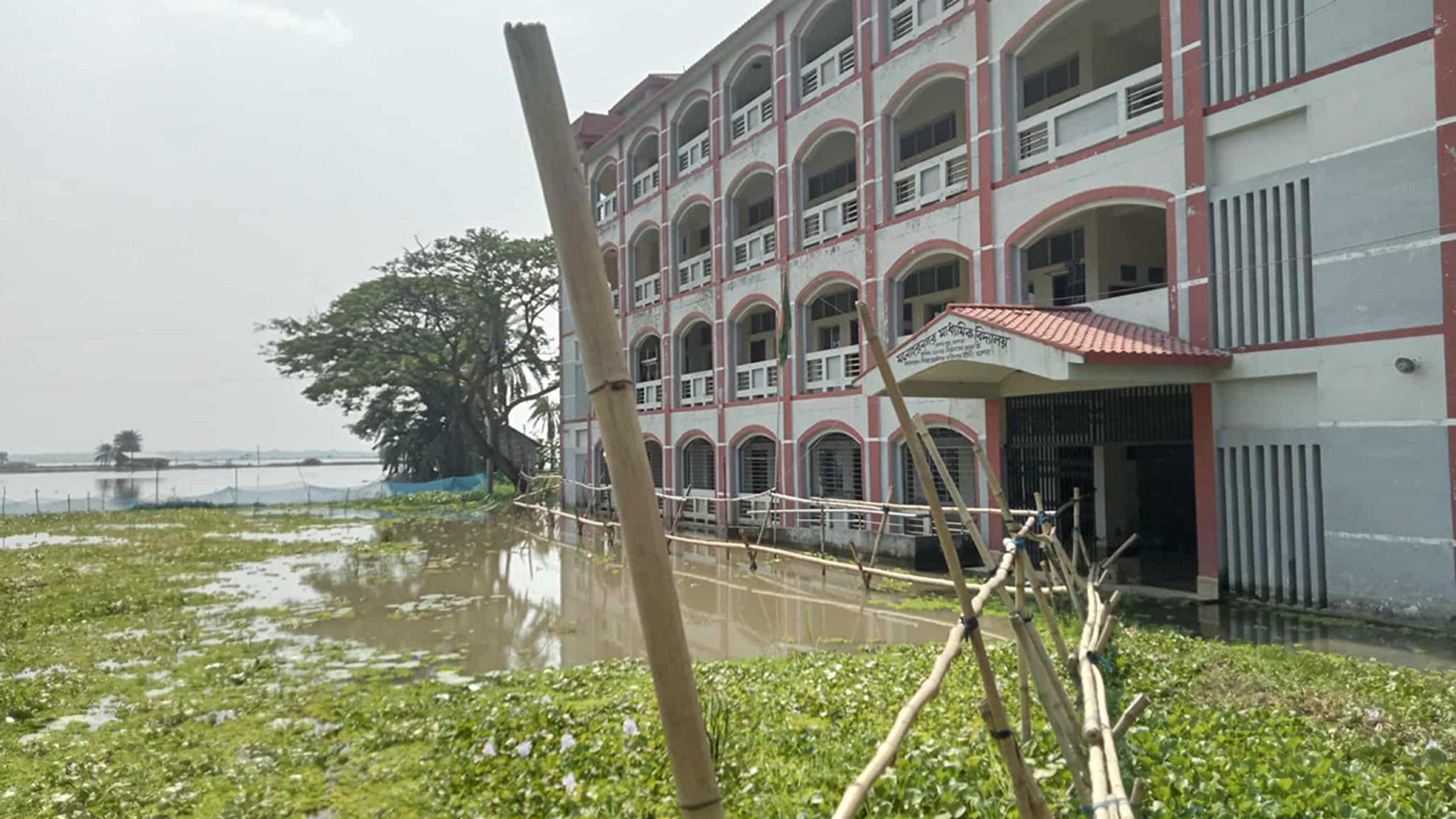 বাঁশের সাঁকো যাতায়াতের ভরসা