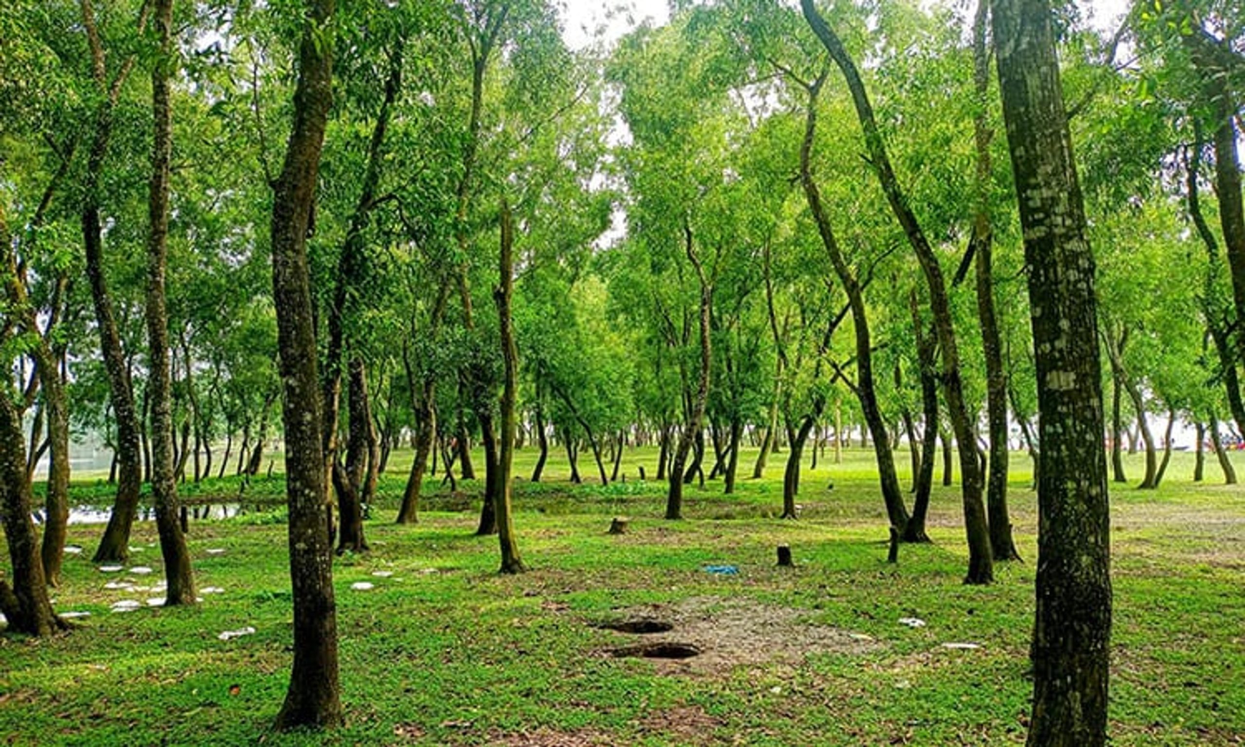 বগুড়ার সারিয়াকান্দির ‘চর ধারাবর্ষা’ হতে পারে সম্ভাবনাময় পর্যটন এলাকা 