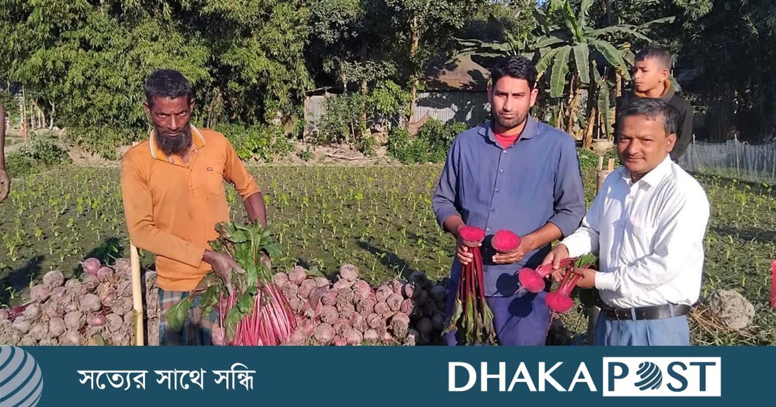 YouTube was his teacher: Mymensingh farmer turns beetroot into a profitable crop