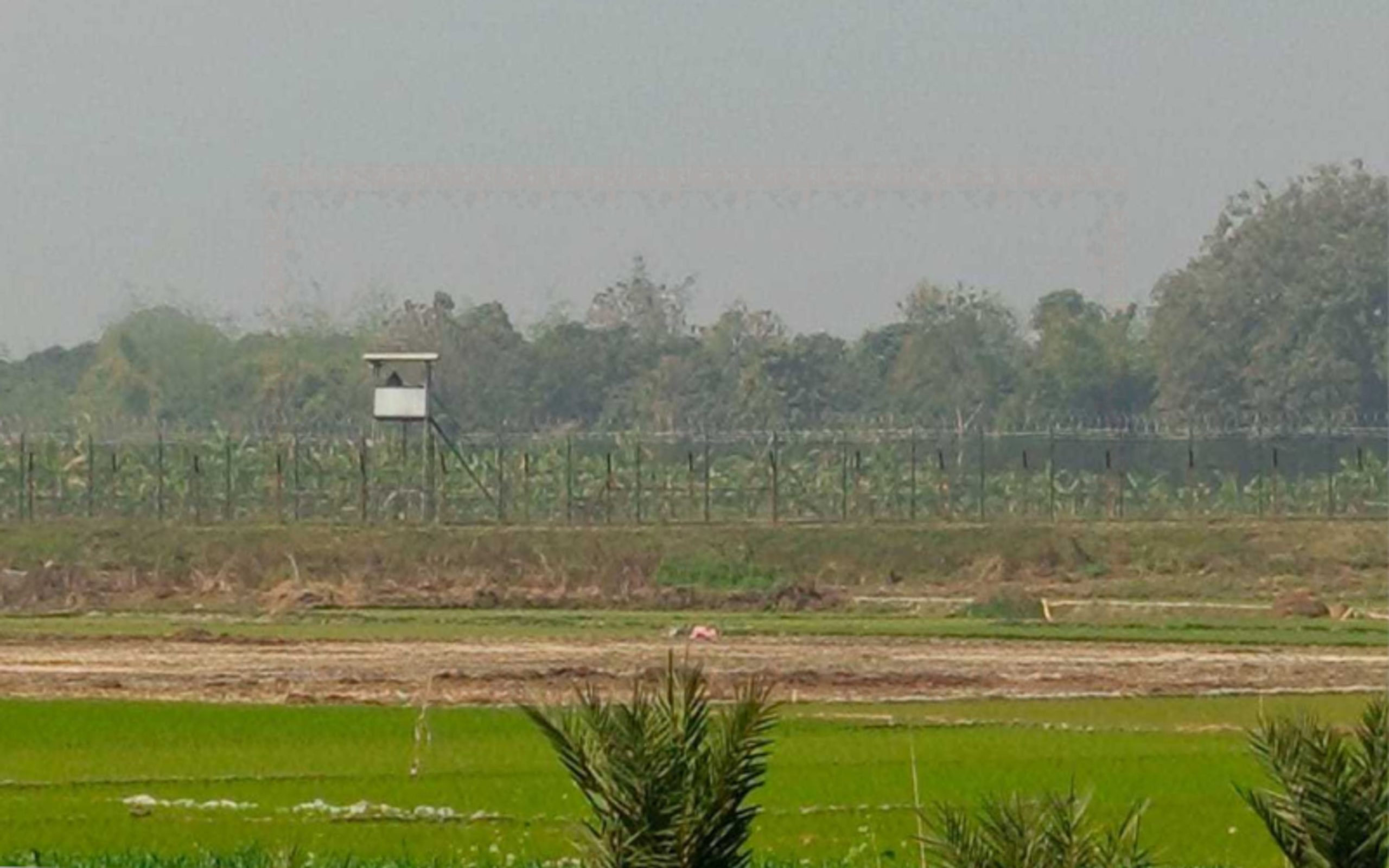 BSF accused of beating, torturing Bangladeshi at Chuadanga border
