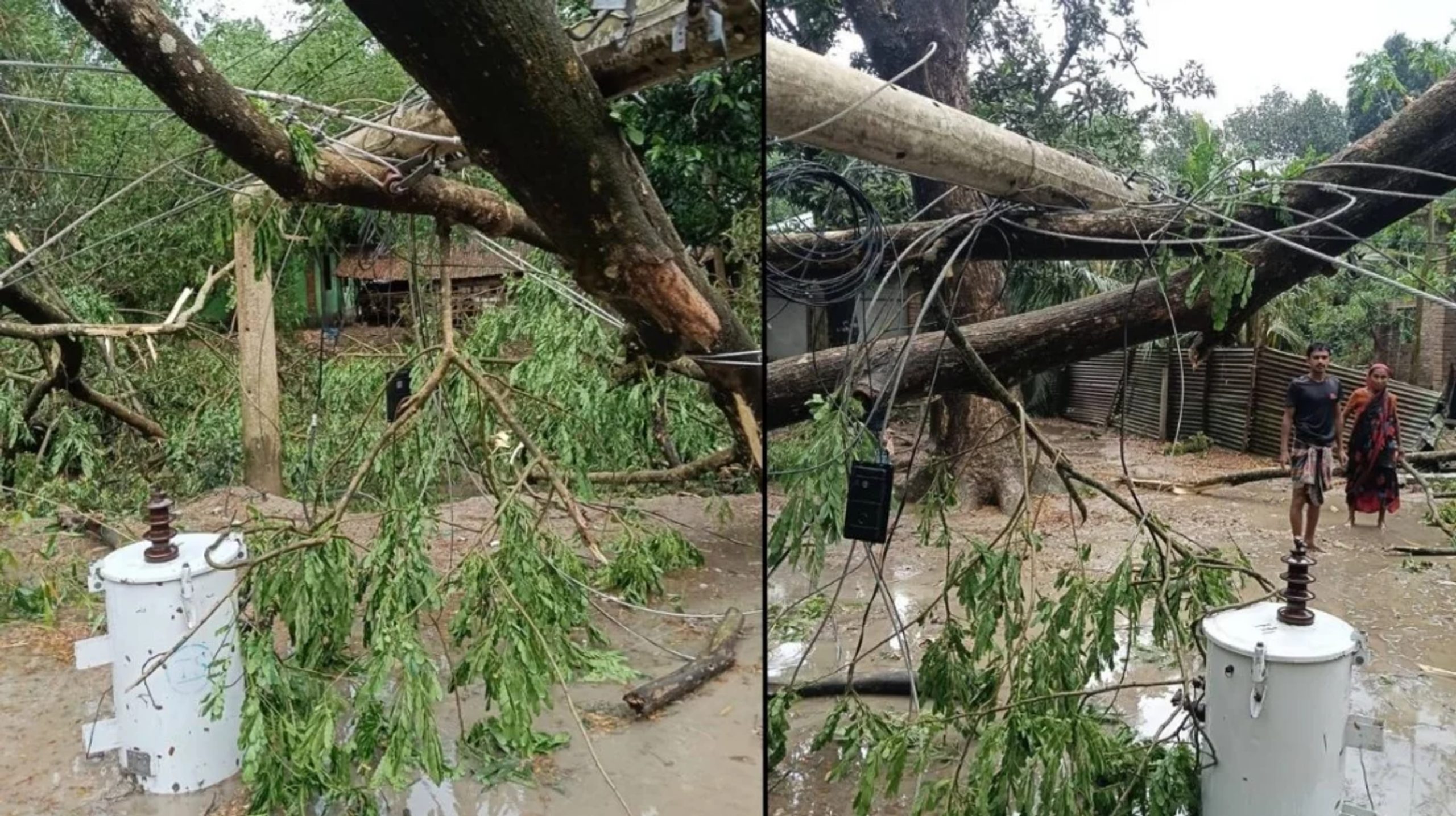 Sudden storm devastates villages in Jashore, killing 2