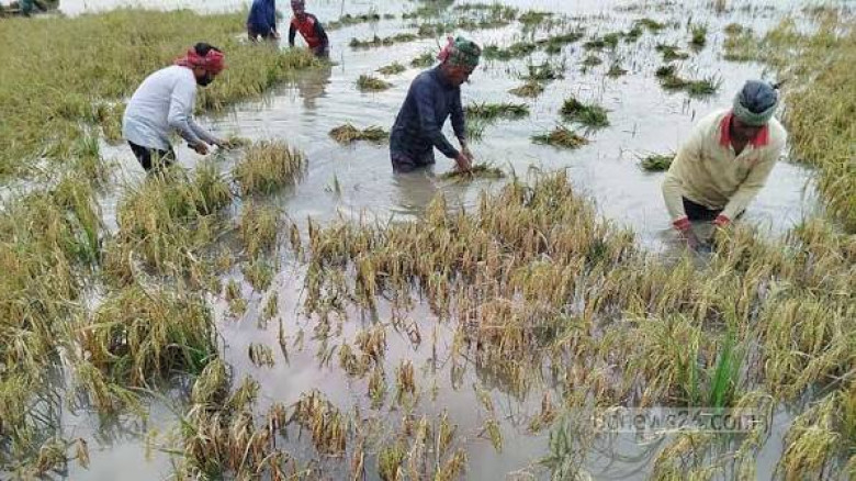 মধ্যনগরে ক্ষতিগ্রস্ত কৃষকের তালিকায় অনিয়মে ক্ষুব্ধ বঞ্চিতরা