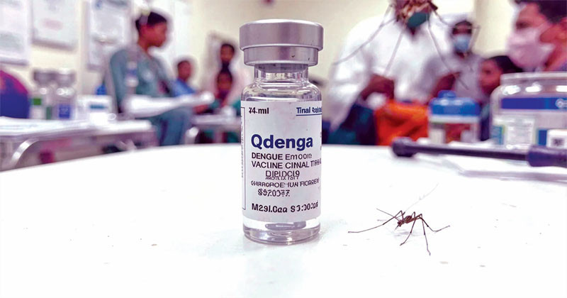ডেঙ্গু টিকা এখনই দরকার