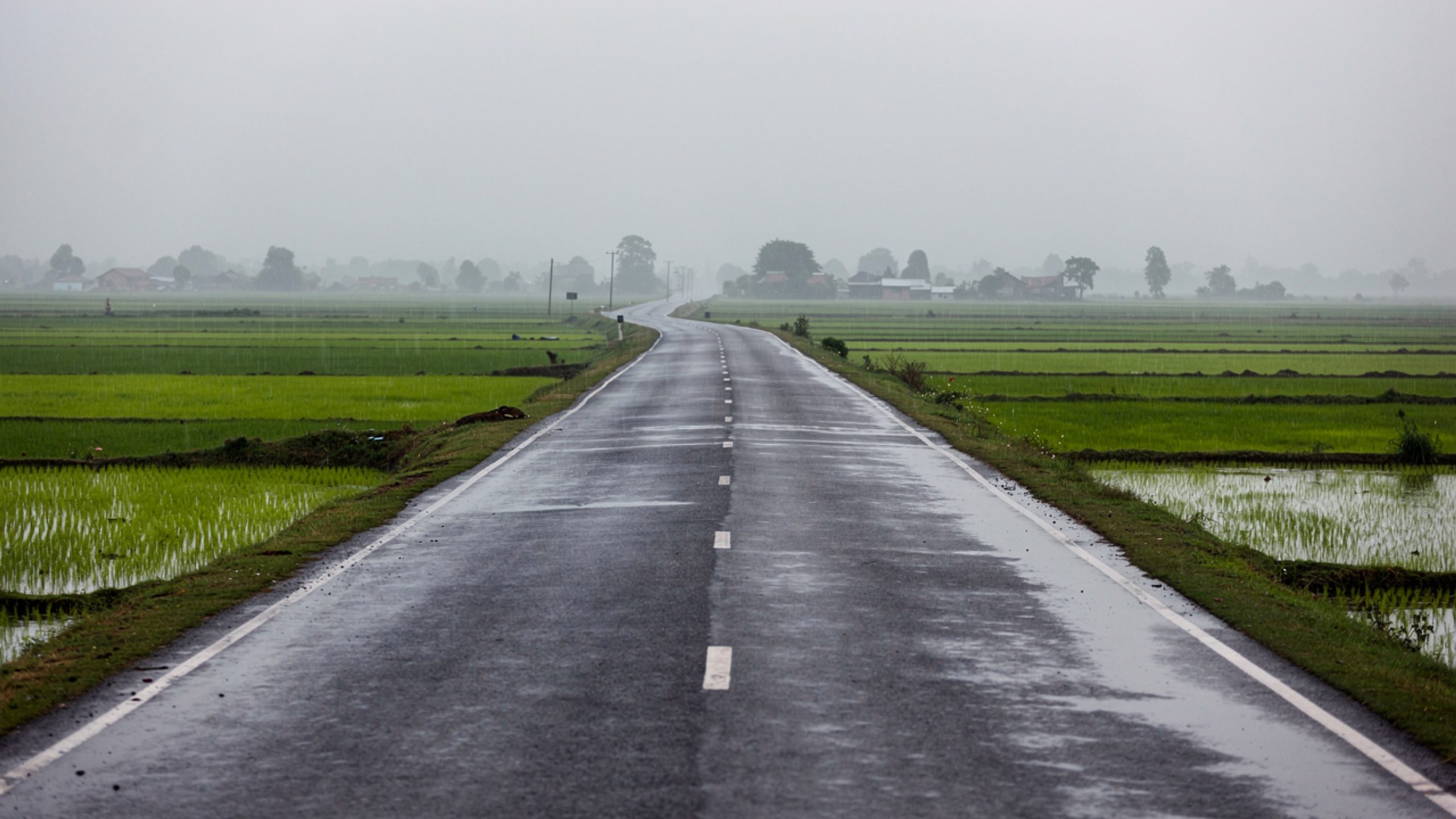 উল্লাপাড়ায় বাসচাপায় মা-ছেলে নিহত, আহত ৩