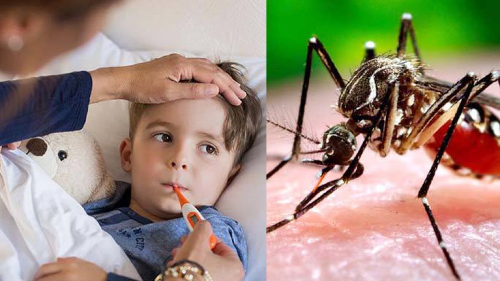 ডেঙ্গু জ্বরে যে লক্ষণগুলো  অবহেলা করা যাবে না