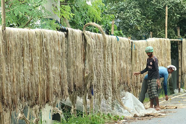 পাট রপ্তানি তিন বছরের মধ্যে সর্বোচ্চ