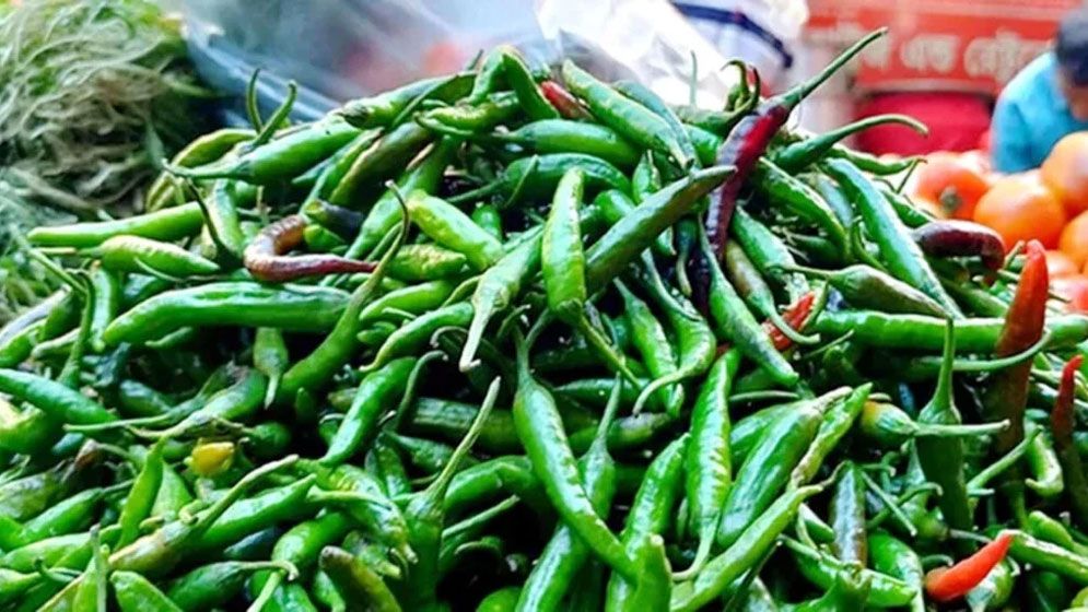 কাঁচামরিচের কেজি ৩০০ ছাড়াল