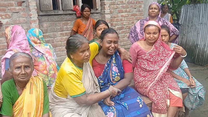 পাট কাটতে গিয়ে বজ্রপাতে বাবা-ছেলের মৃত্যু