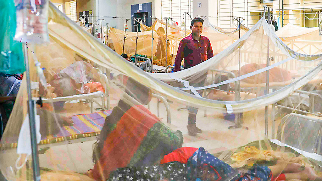 ডেঙ্গুতে ২ জনের মৃত্যু, হাসপাতালে ভর্তি ৩৯১
