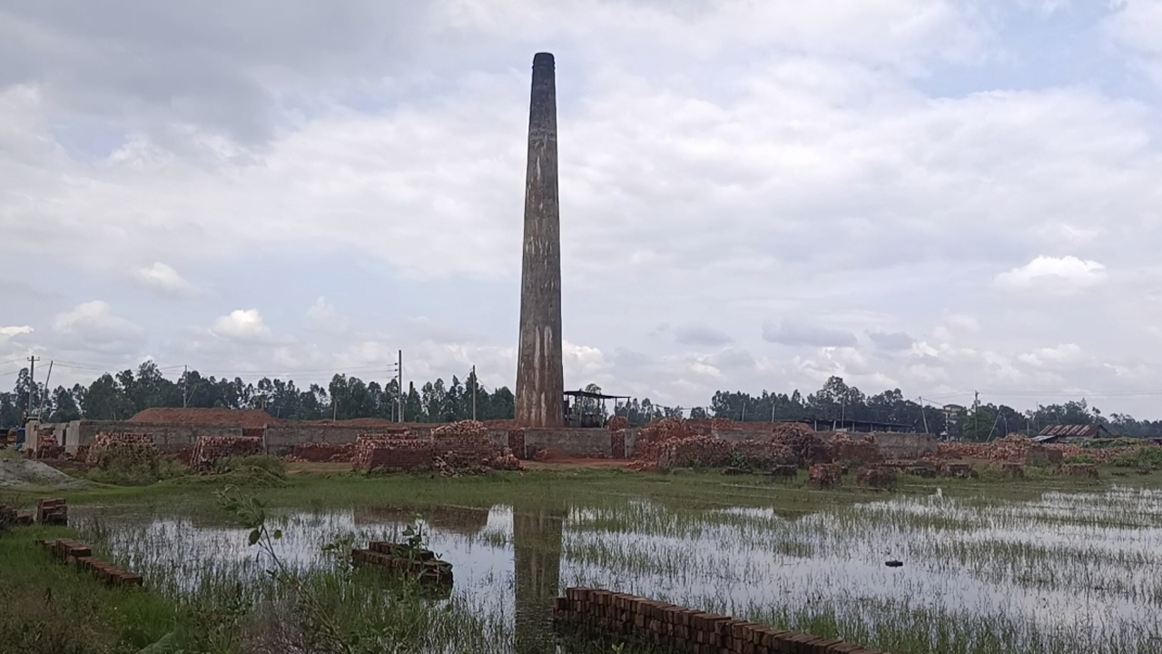 ঘাটাইলে অস্ত্র ঠেকিয়ে ইটভাটায় ডাকাতি