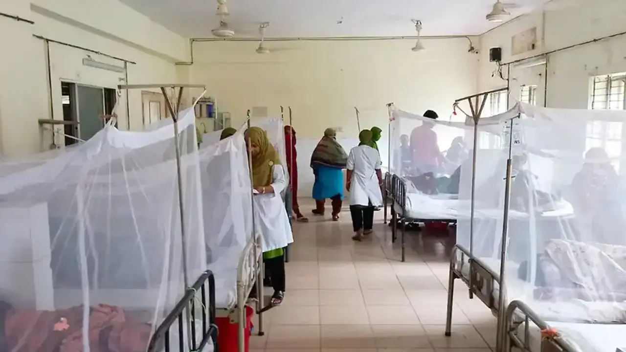 আগস্টেই ডেঙ্গুতে আক্রান্ত ১৭ হাজার ২৮০