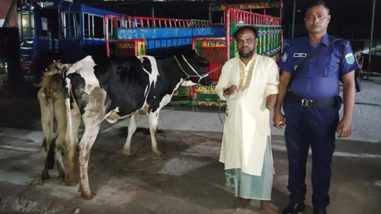 বাড়ির আন্ডারগ্রাউন্ডে চোরাই গরু, যুবদলকর্মী আটক