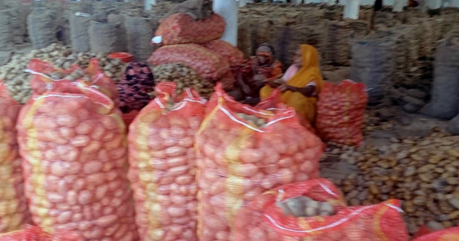 আলু পচনের দায়ে মুখোমুখি হিমাগার মালিক-চাষি