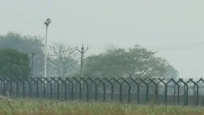 মেহেরপুর সীমান্তে ৫ জনকে পুশইনের চেষ্টা রুখে দিল বিজিবি