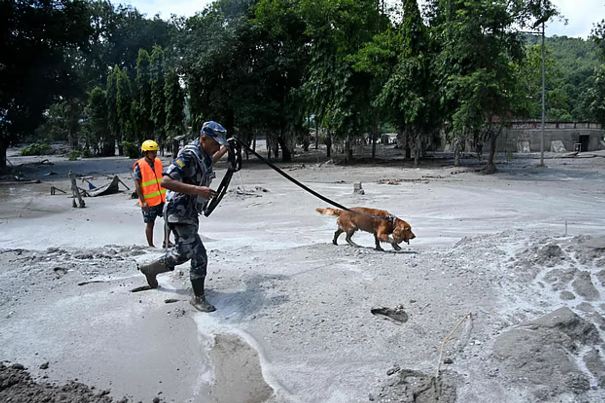 নেপালে মৃতের সংখ্যা বেড়ে ৫৩৫