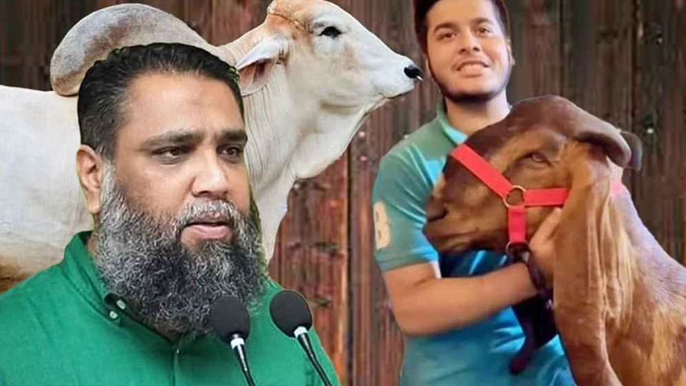 সাদিক অ্যাগ্রোর সেই ইমরান গ্রেফতার