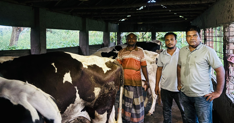 শিরোনামহীন পোস্ট 36255