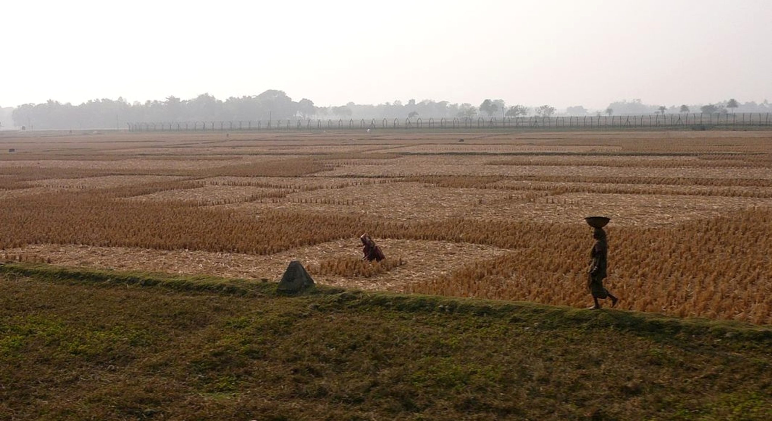 Bangladesh-India border fence