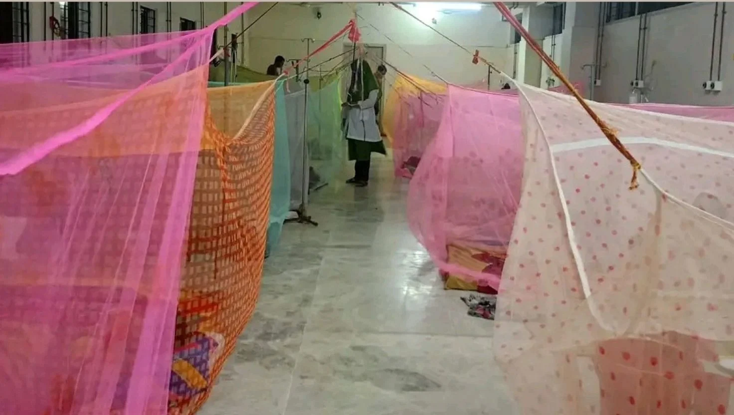 ডেঙ্গুতে আরো ৫ জনের মৃত্যু